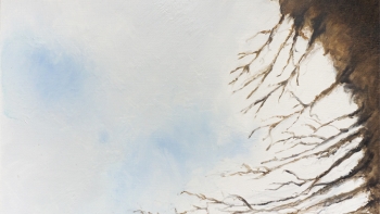 https://www.gfavreau.fr/files/gimgs/th-1_accident arbres.jpg